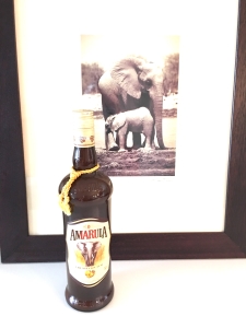 mode de vie fit shanna elephants conservation 