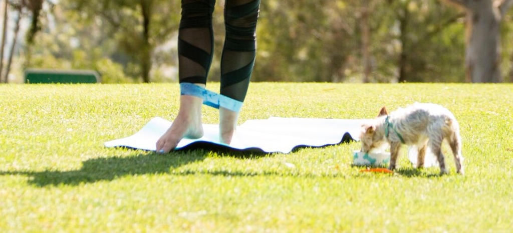 mode de vie fit standing balance exercises with the blue band
