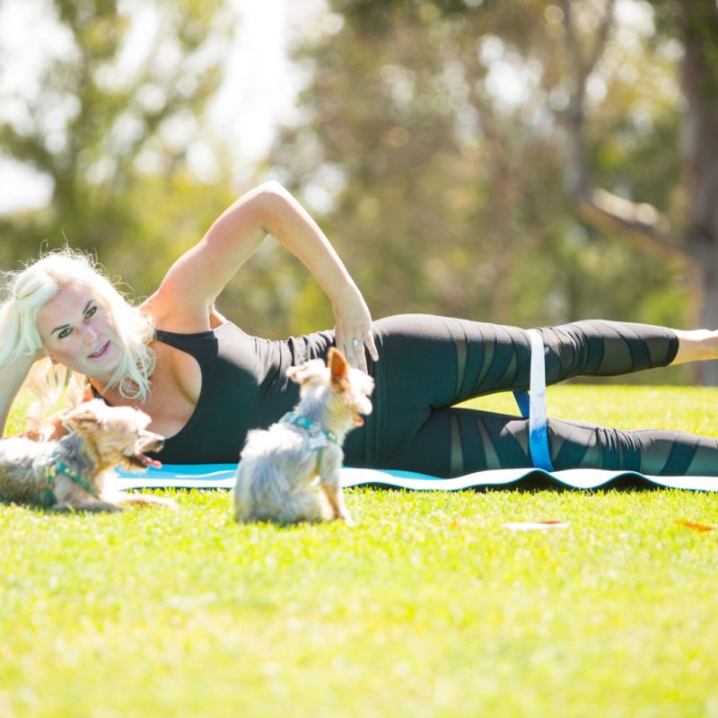 mode de vie fit shanna blue ban exercise series one