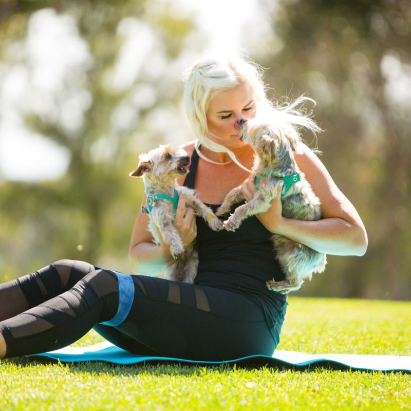 mode de vie fit shanna blue ban exercise series one